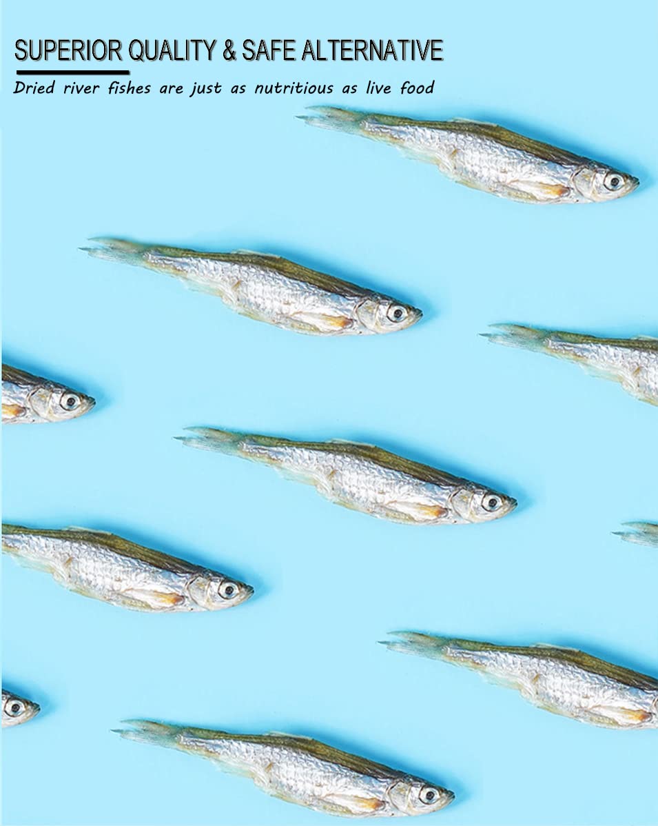 BNYEE Dried River Fish served on platter suitable for turtles, cats, and fish