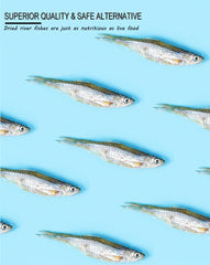 BNYEE Dried River Fish served on platter suitable for turtles, cats, and fish