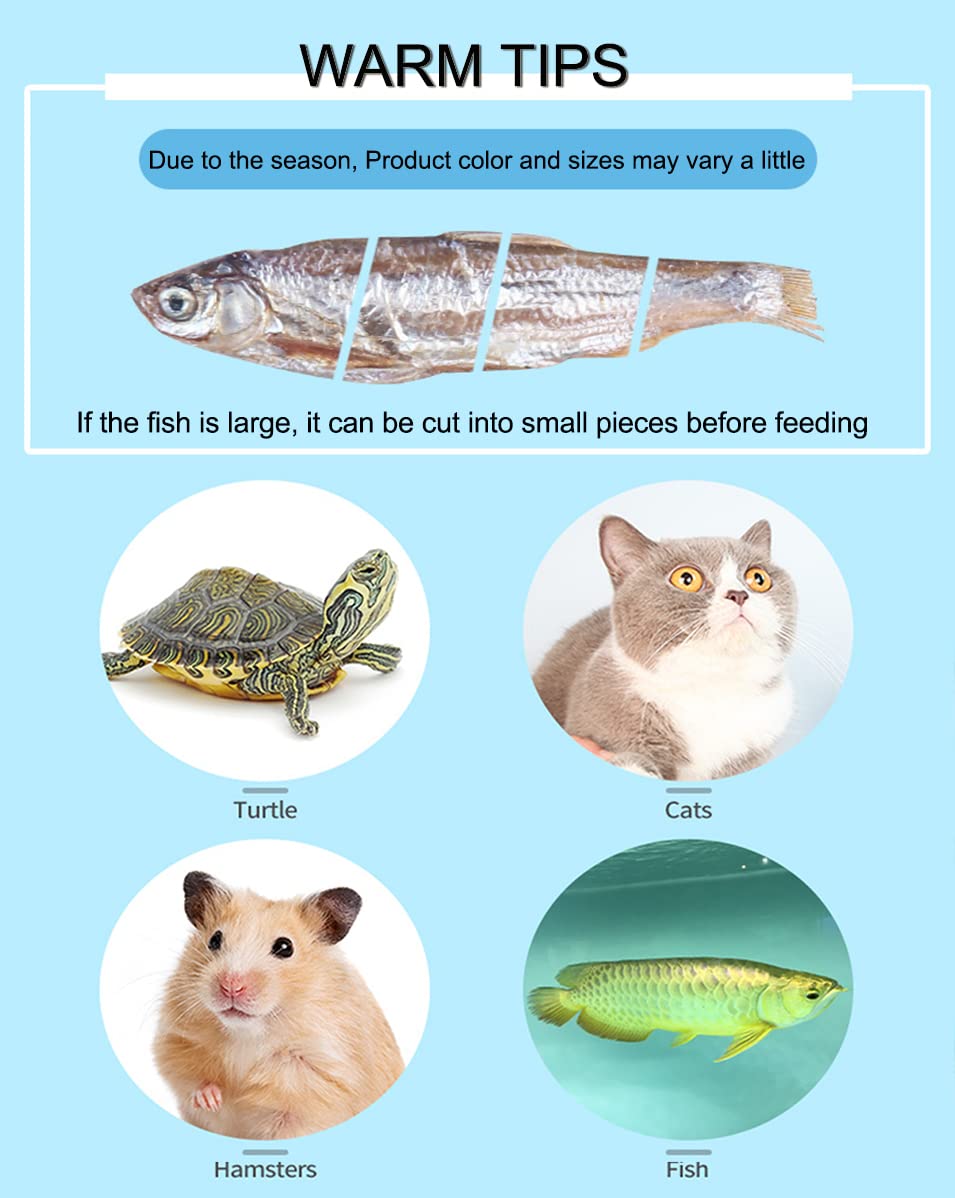 BNYEE Dried River Fish for turtles demonstrates natural protein and color-enhancing snack