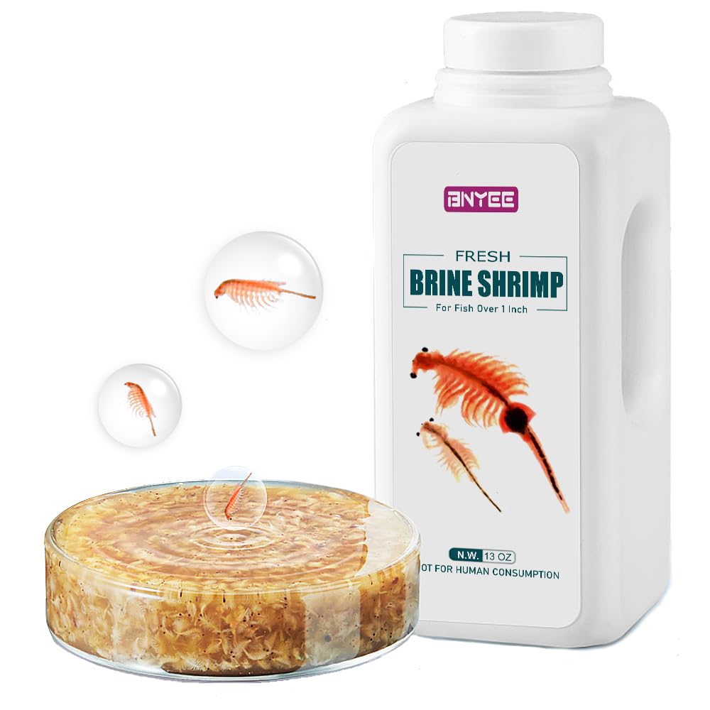 BNYEE Fresh Brine Shrimp bottle closeup highlighting high-protein nutrition