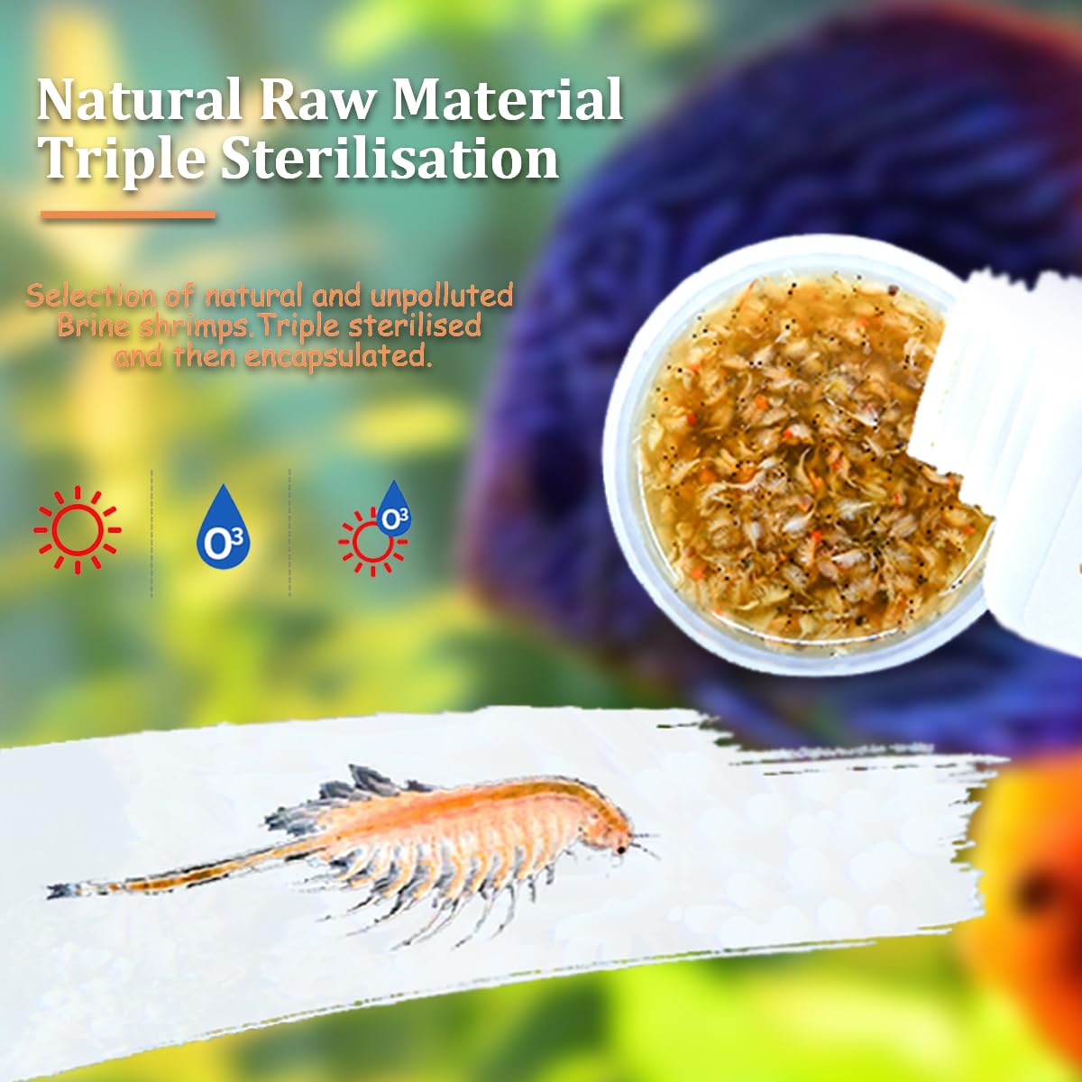 BNYEE Fresh Brine Shrimp feeding scene showing easy daily diet for fish