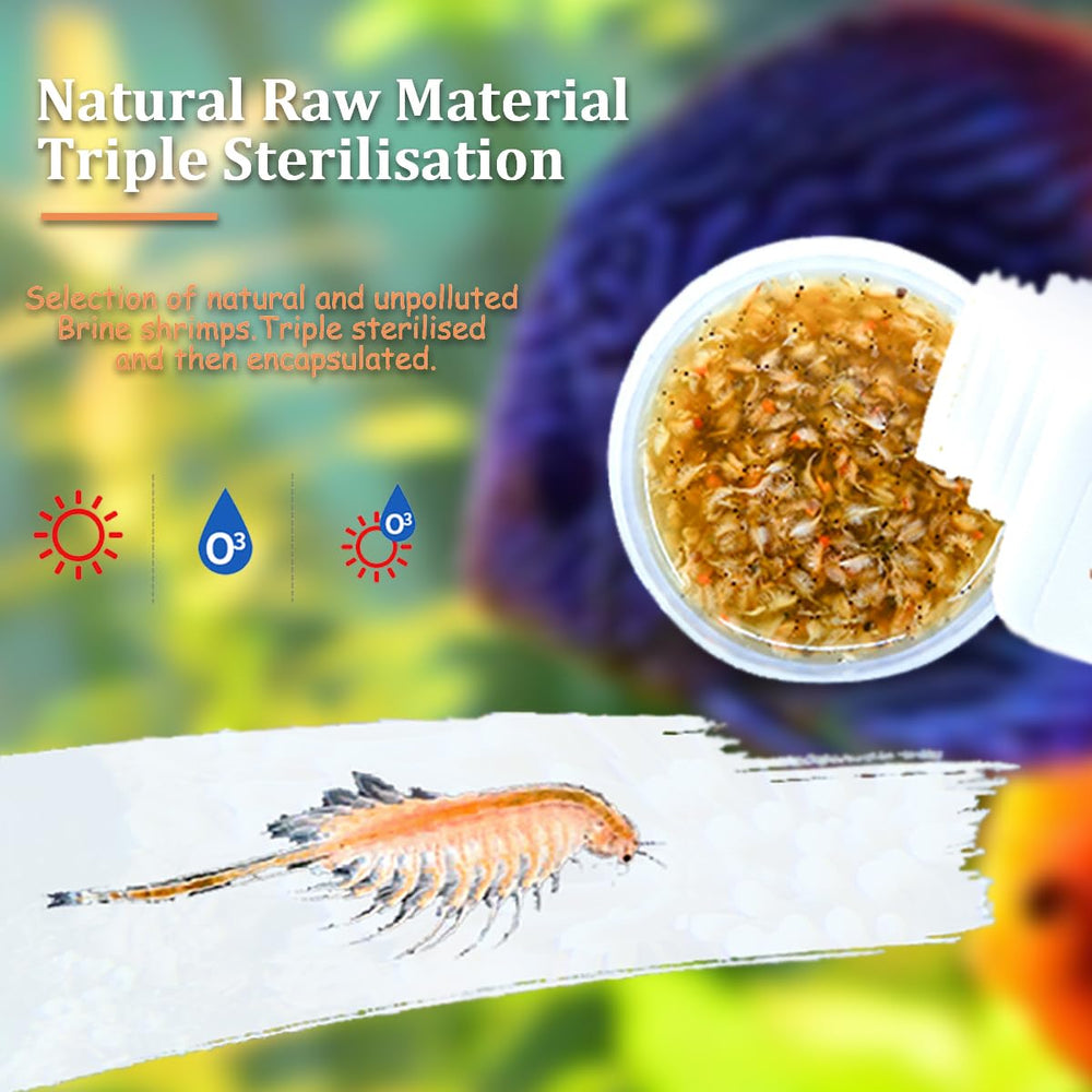 BNYEE Fresh Brine Shrimp feeding scene showing easy daily diet for fish