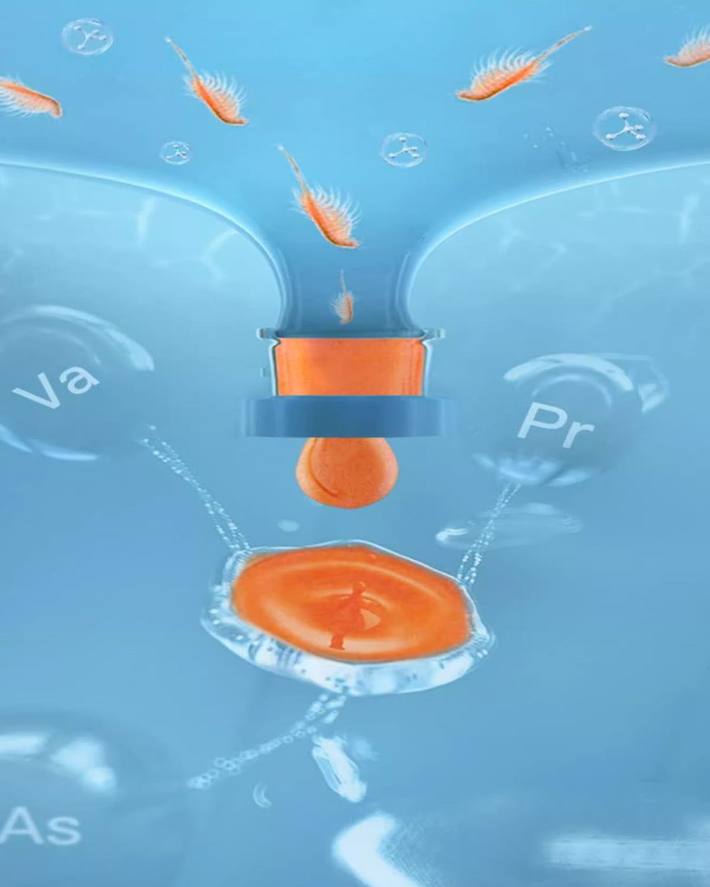 BNYEE Instant Baby Brine Shrimp small-fish feeding scene — versatile diet for corals and jellyfish.