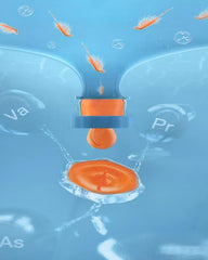 BNYEE Instant Baby Brine Shrimp small-fish feeding scene — versatile diet for corals and jellyfish.