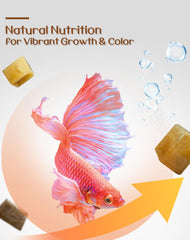 BNYEE Liquid Fish Food fry feeding shows tiny portions ideal for newborn fry growth