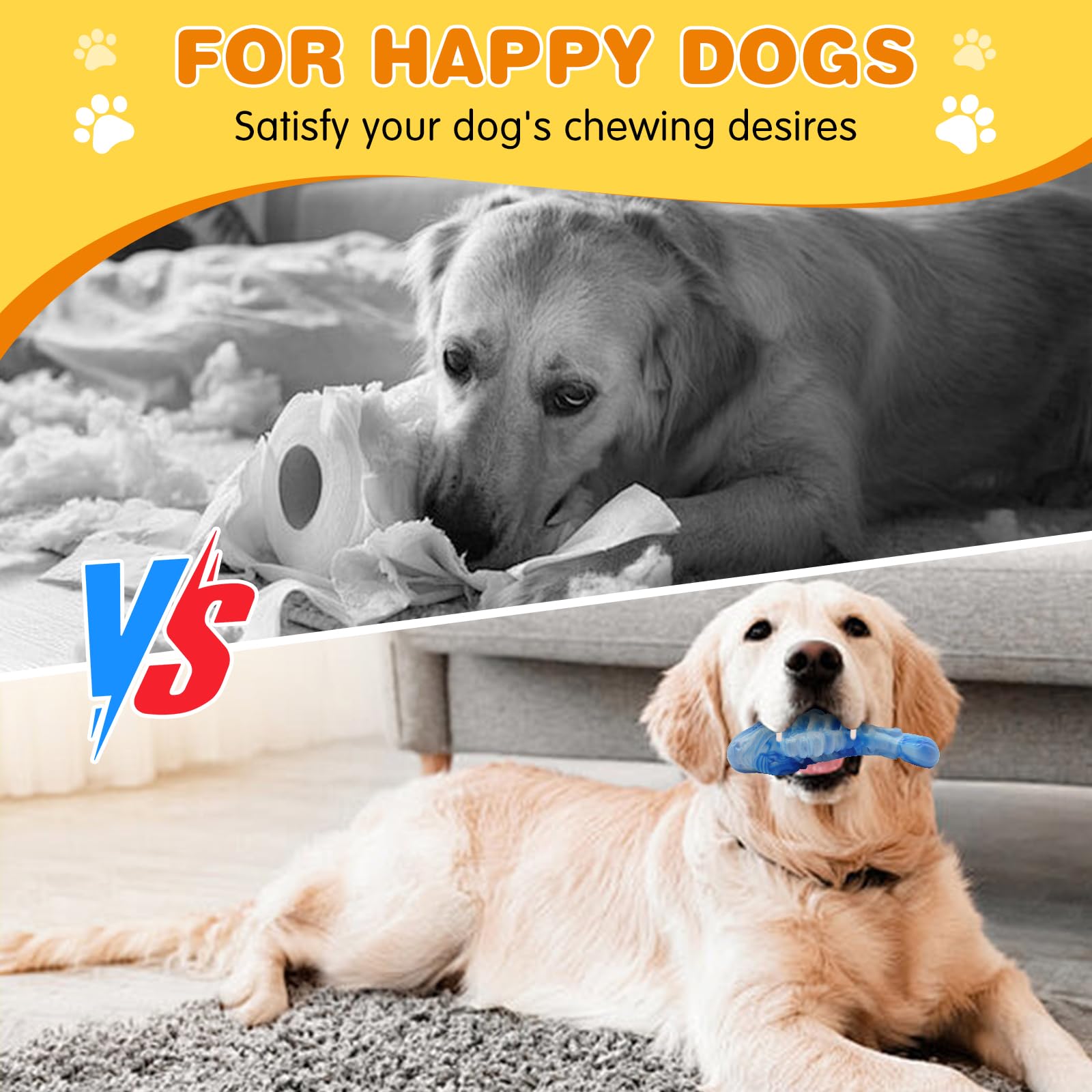 BoYoYo interactive-dog-toy supports bonding moments between dog and owner.