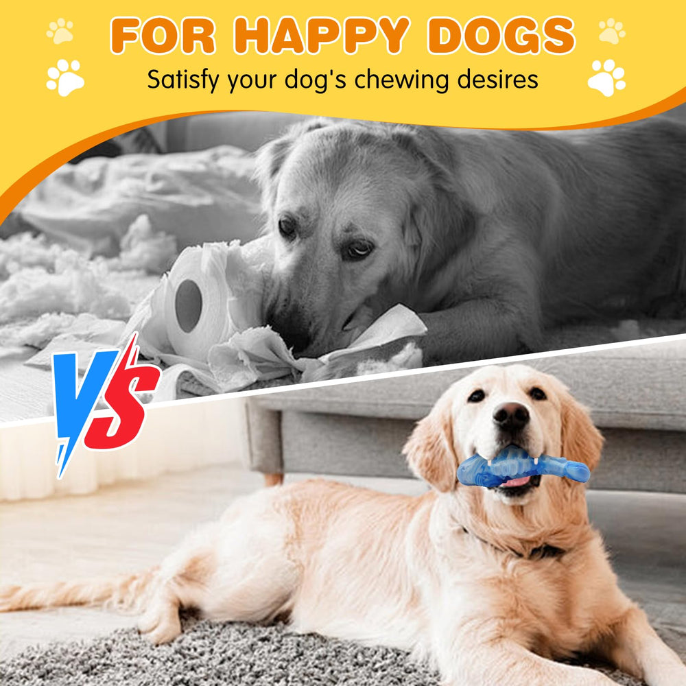 BoYoYo interactive-dog-toy supports bonding moments between dog and owner.