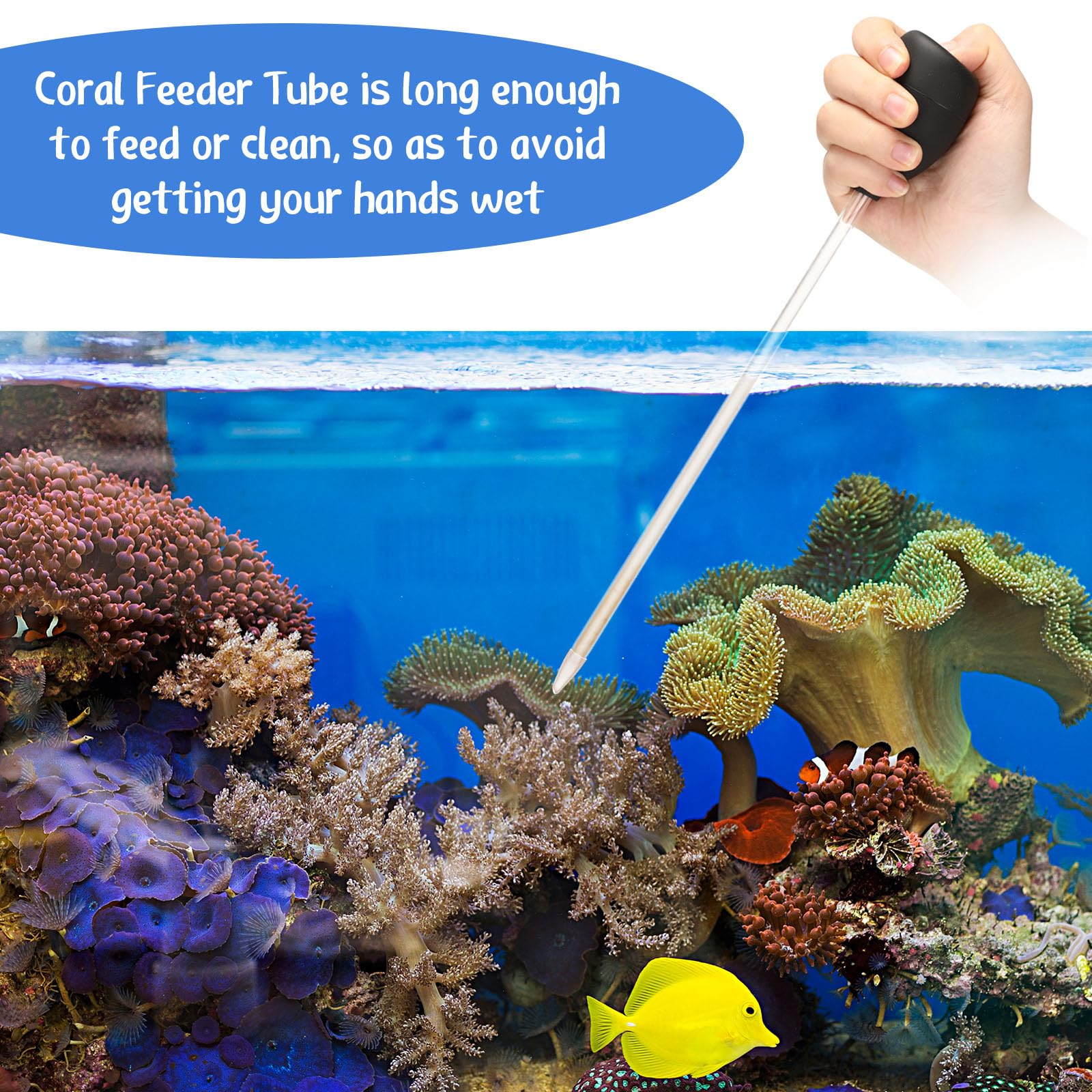 Boao dual-pack coral feeder set ideal for seahorses clownfish and corals.