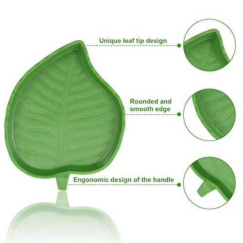 Boao leaf reptile bowl large closeup—striped texture aids quick drying