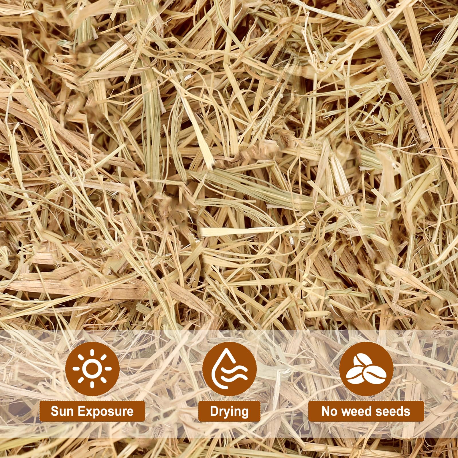 BobbleT dog house straw bedding—insulated bedding for outdoor pets.