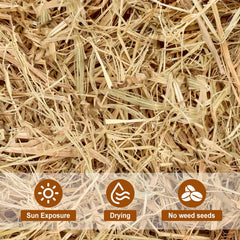 BobbleT dog house straw bedding—insulated bedding for outdoor pets.