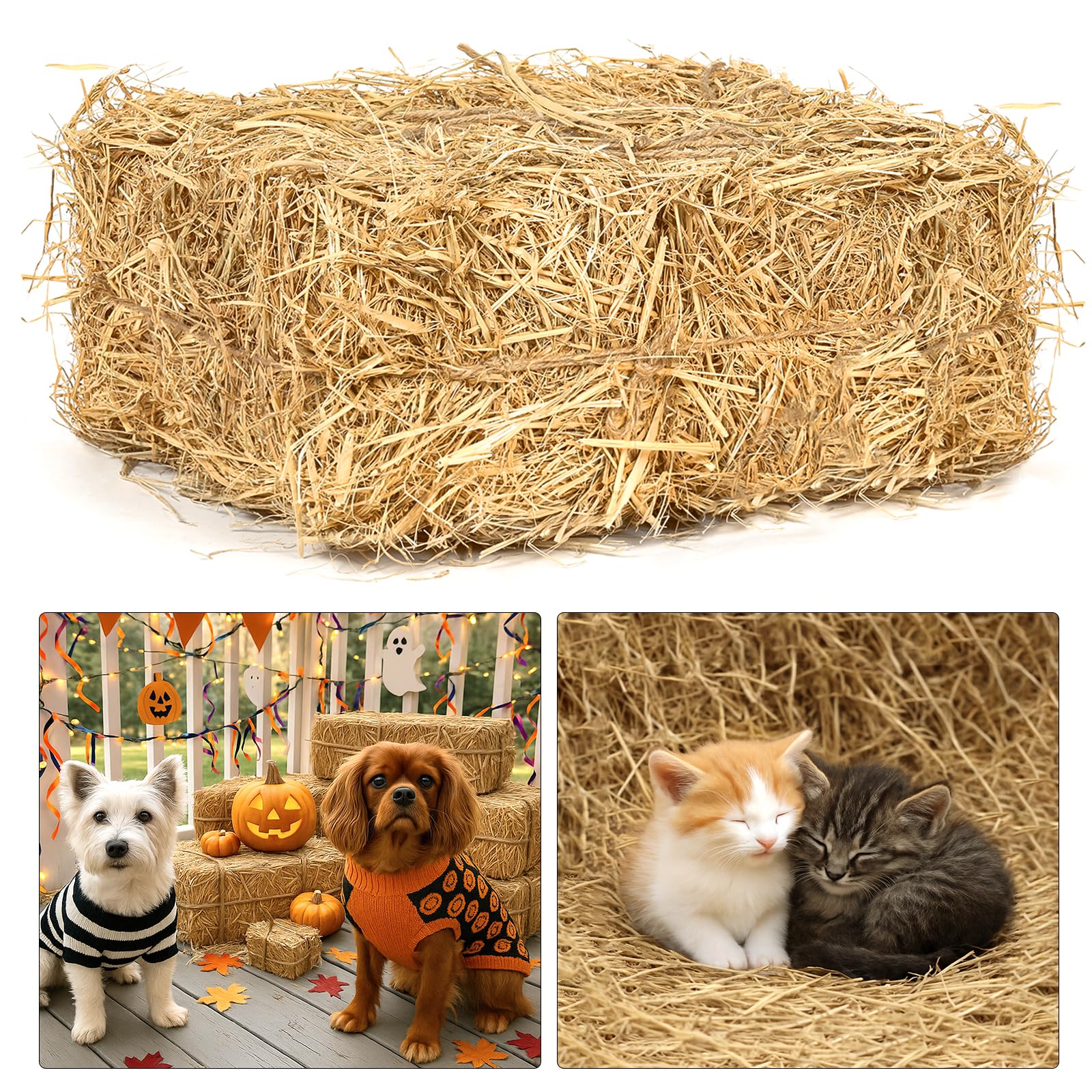 BobbleT natural wheat straw bedding 5lb package—clean, dry comfort for cats.