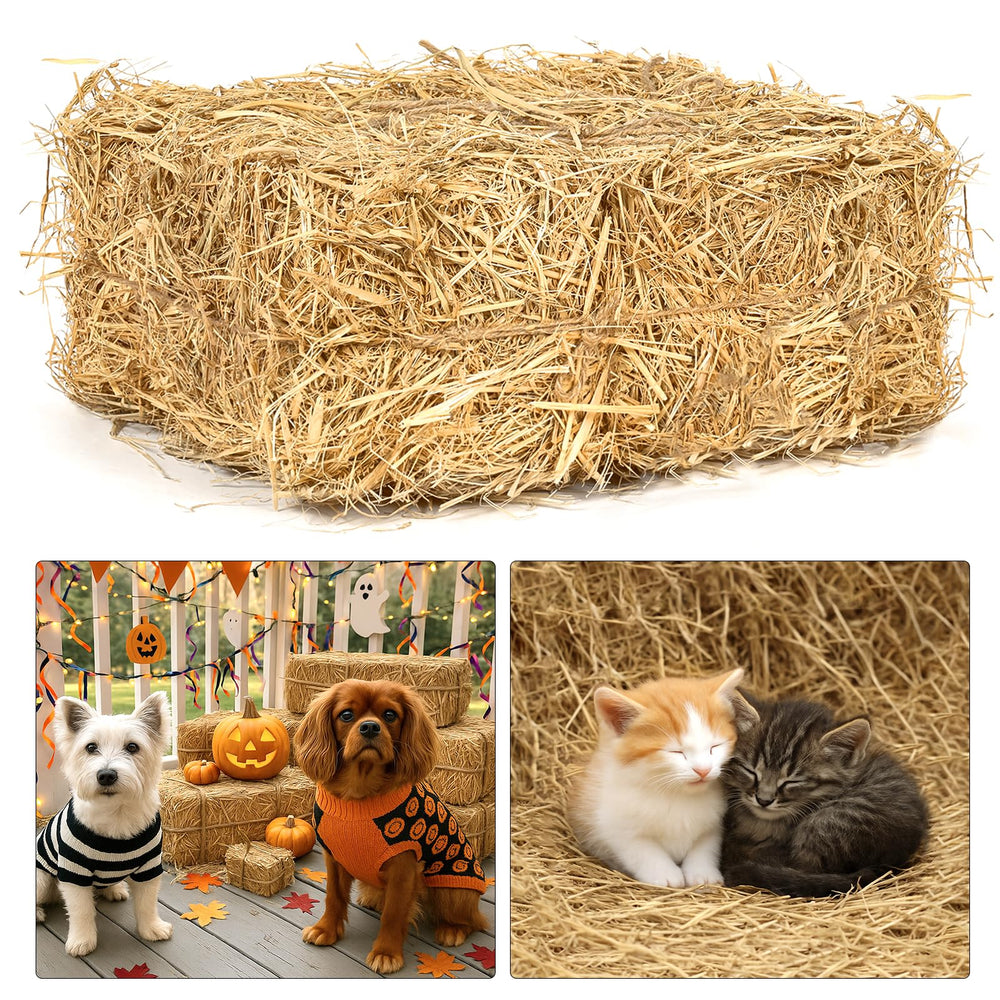 BobbleT natural wheat straw bedding 5lb package—clean, dry comfort for cats.