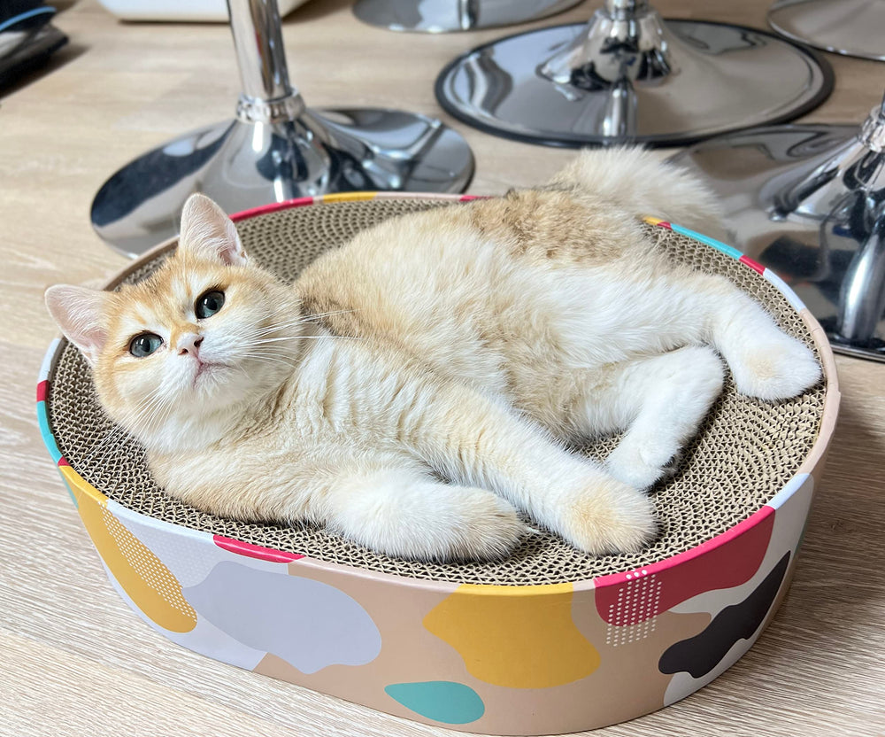 BobbyPet Cat Scratcher Lounge Bed, oval top view indicating compact footprint for indoor spaces