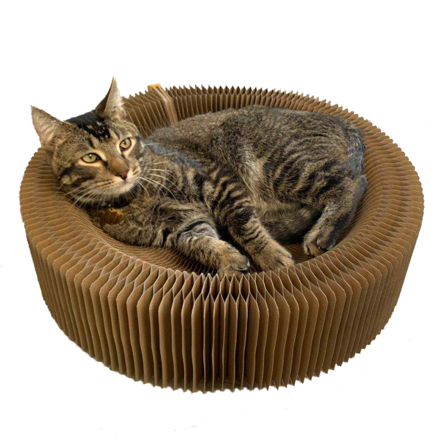BobbyPet cat scratcher lounge round folded for easy transport.