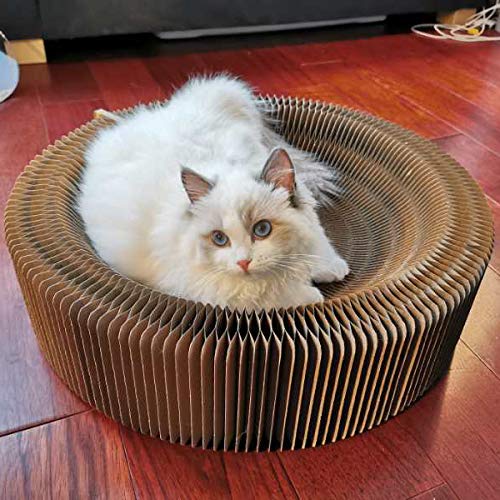 BobbyPet cat scratcher lounge round multi-function design for scratching.