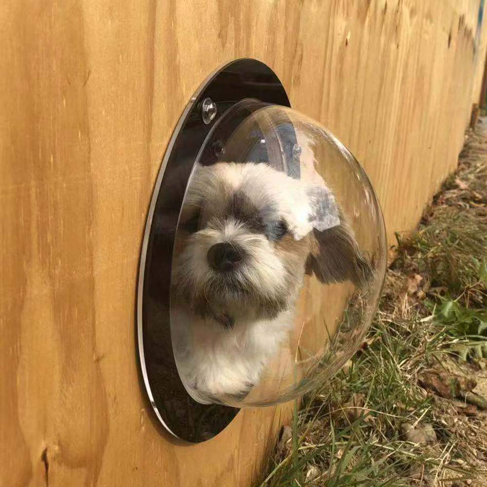 BobbyPet dog fence window front view shows clear acrylic dome for easy pet visibility.