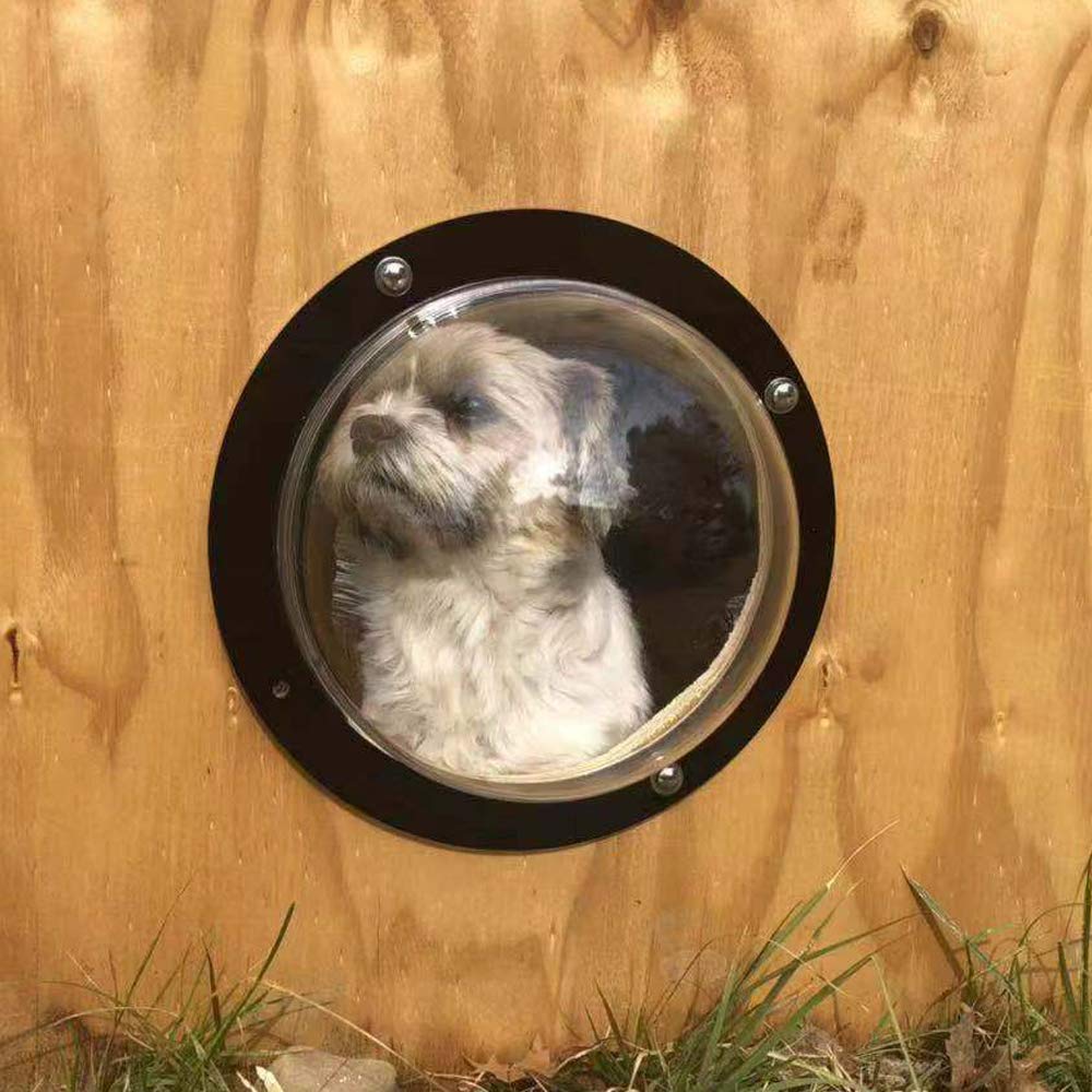 BobbyPet yard-use dome window in an outdoor setting