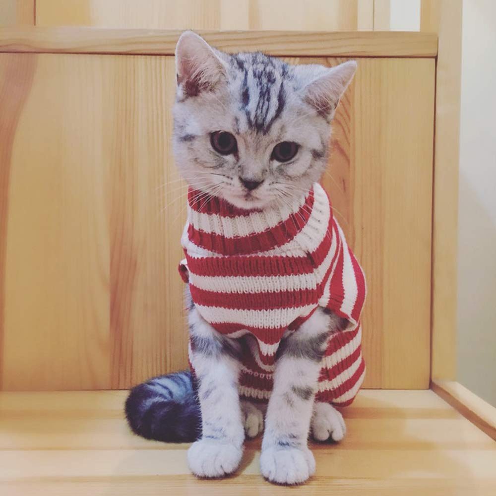 BOBIBI cat sweater care instructions explain cold wash