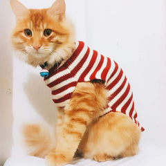 BOBIBI cat sweater size chart helps pick the right fit