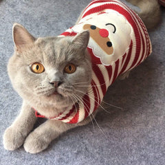 BOBIBI cat sweater warm-knit closeup reveals soft acrylic and gentle stretch