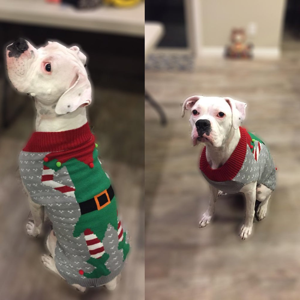 BOBIBI Christmas pet sweater on model for holiday party-ready look.