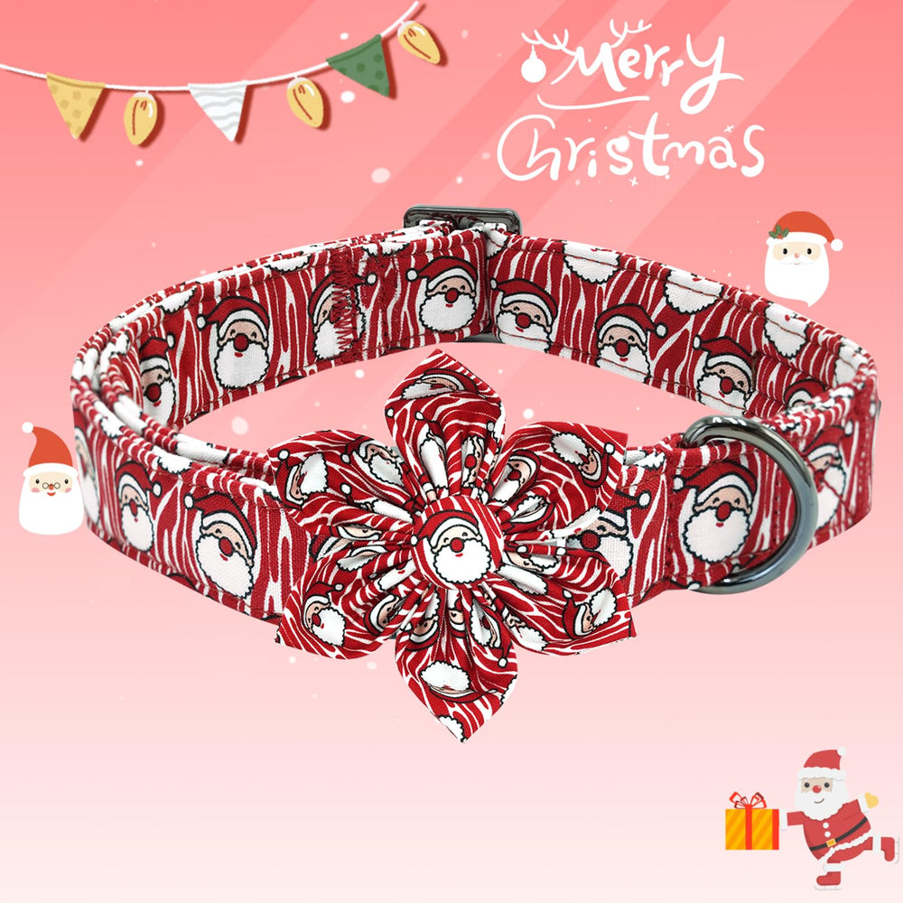 Bobo Rainbow adjustable dog collar 1-inch width for a comfortable fit.