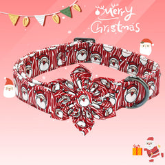 Bobo Rainbow adjustable dog collar 1-inch width for a comfortable fit.