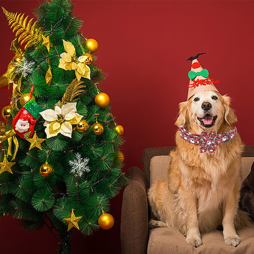 Bobo Rainbow Christmas dog collar worn by a pet for festive style.