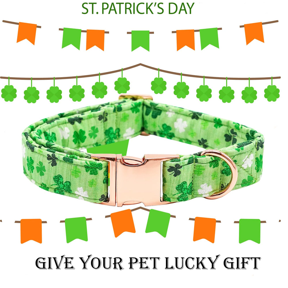 Bobo Rainbow cotton collar highlighting breathable material for everyday wear.