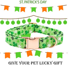 Bobo Rainbow cotton collar highlighting breathable material for everyday wear.