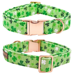 Bobo Rainbow dog collar closeup of durable metal buckle and D-ring for secure leash attachment.