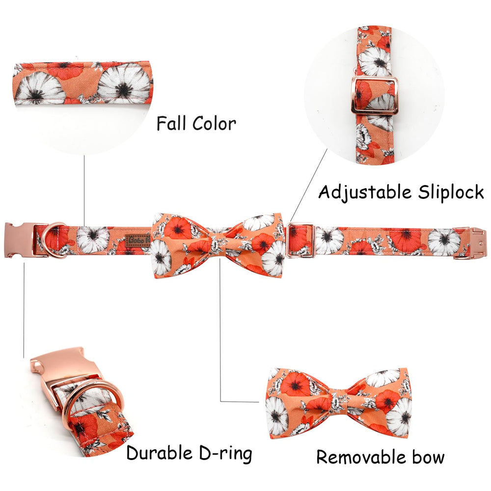 Bobo Rainbow Fall Dog Collar care instructions for easy hand wash.