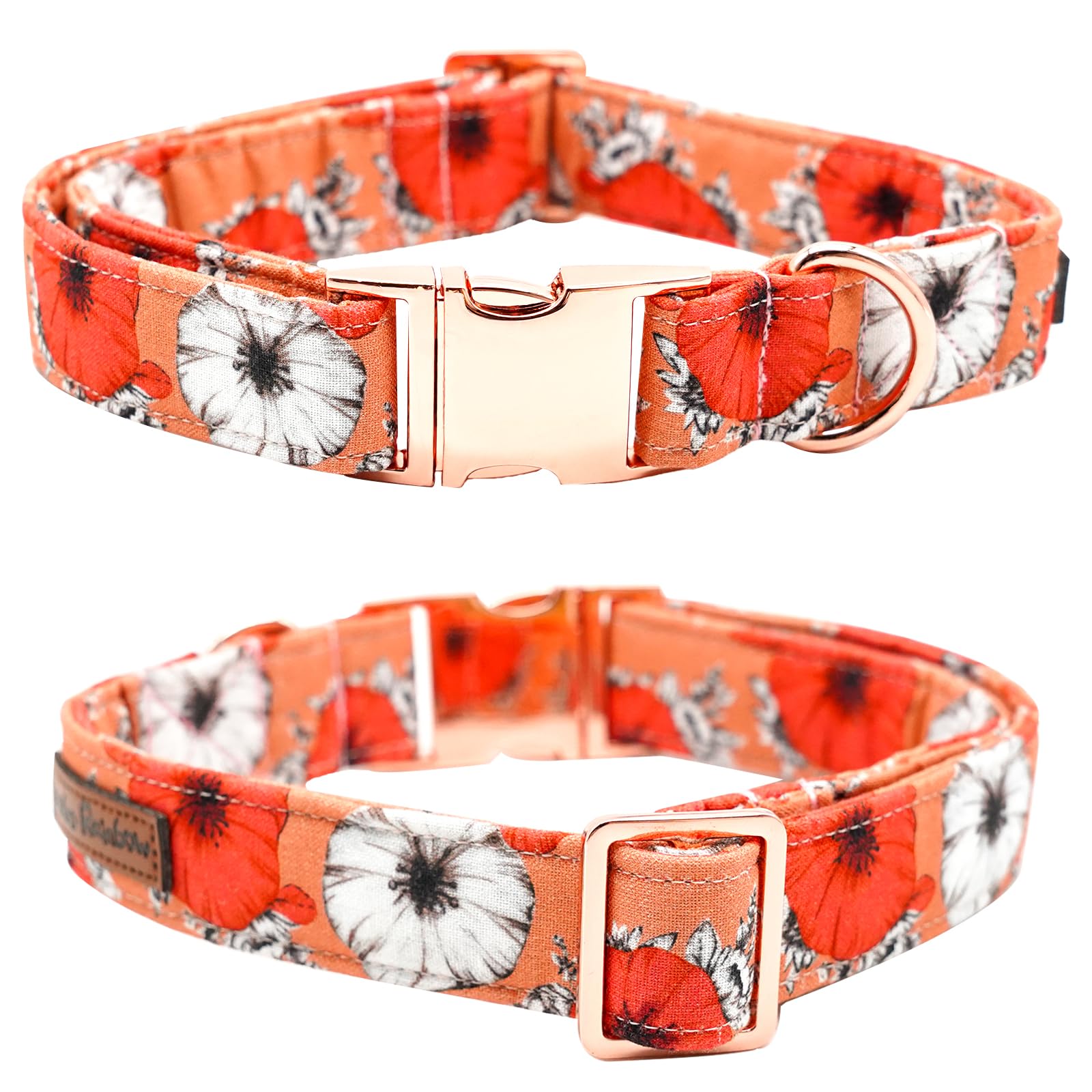 Bobo Rainbow Fall Dog Collar with durable metal buckle for secure adventures.