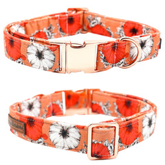 Bobo Rainbow Fall Dog Collar with durable metal buckle for secure adventures.