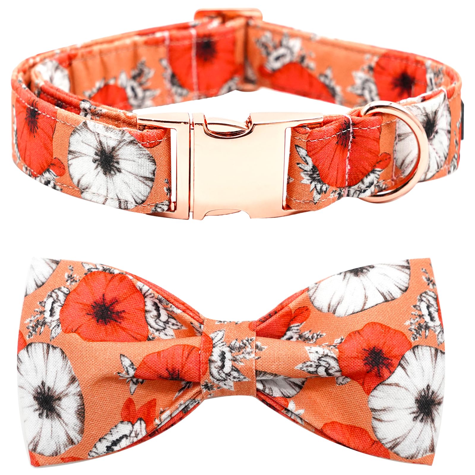 Bobo Rainbow Fall Dog Collar with floral bow; stylish everyday wear for small dogs.