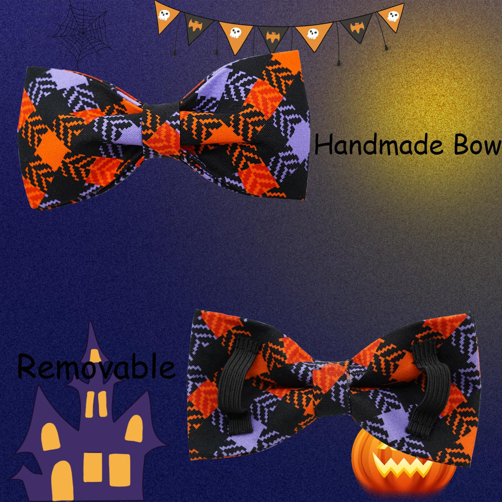 Bobo Rainbow packaged collar and bow set for a complete look.