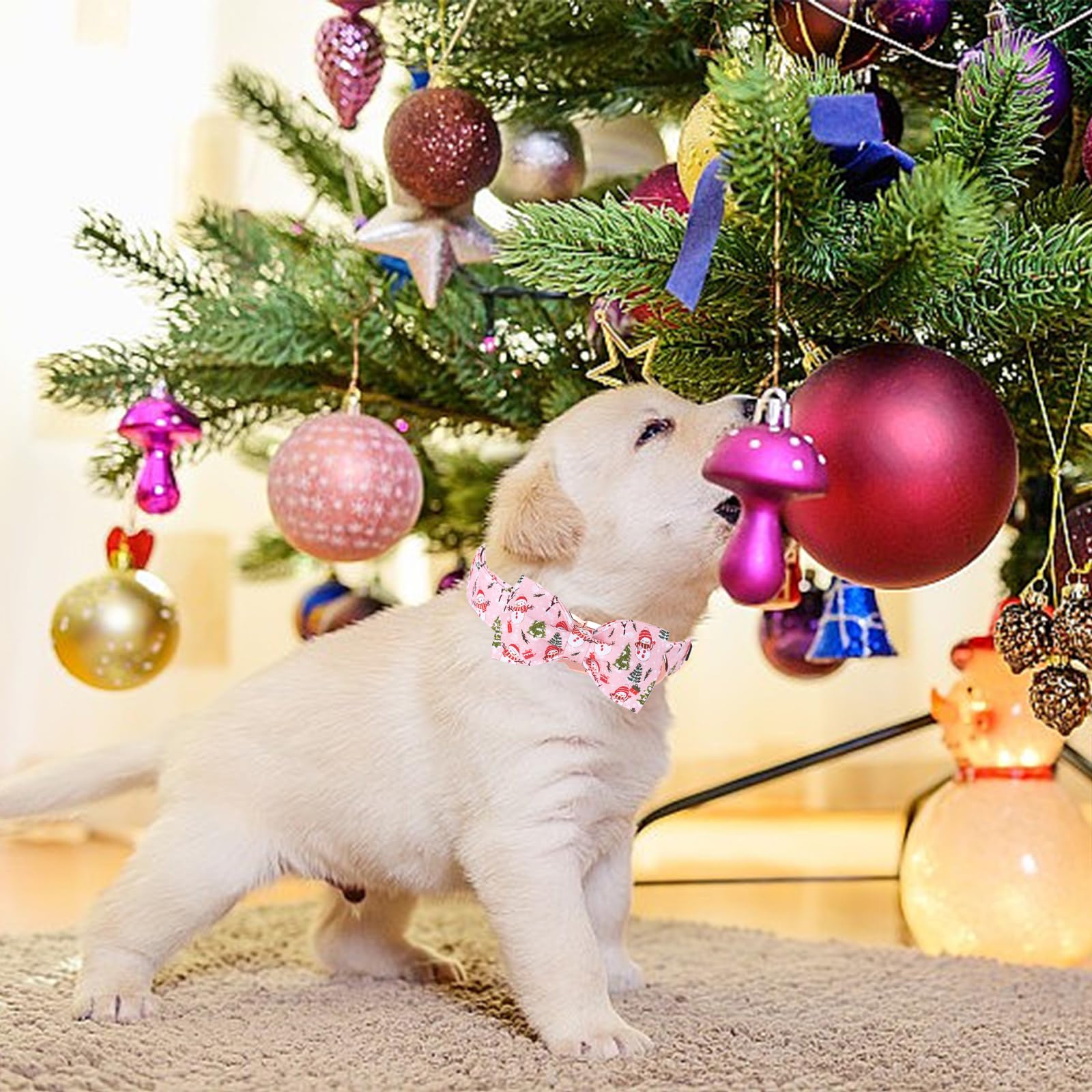 Bobo Rainbow pink dog collar with bow for stylish large female dogs