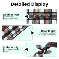 Bobo Rainbow red plaid bandana adds festive style for holiday photos.