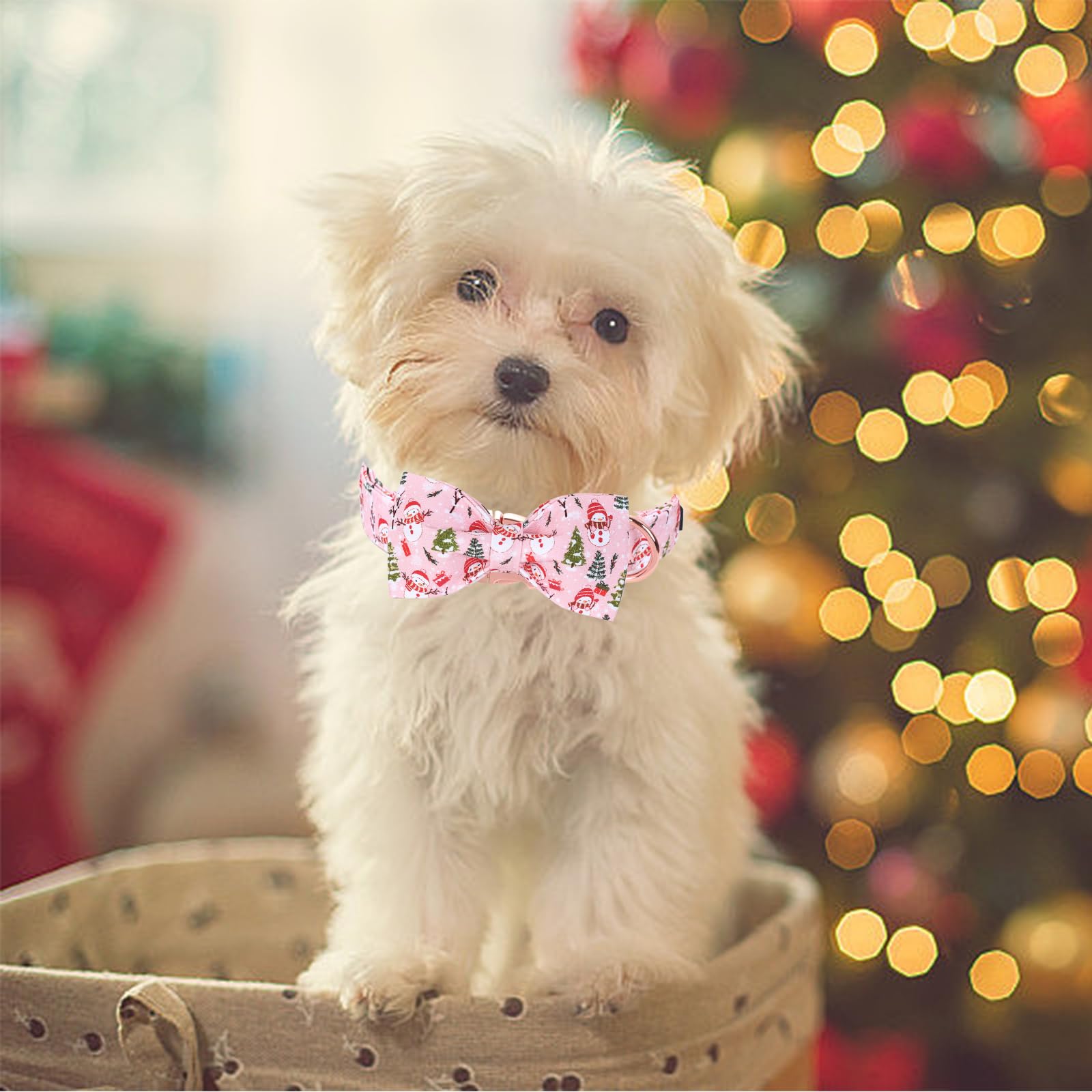 Bobo Rainbow removable bowtie collar with two elastics for easy washing