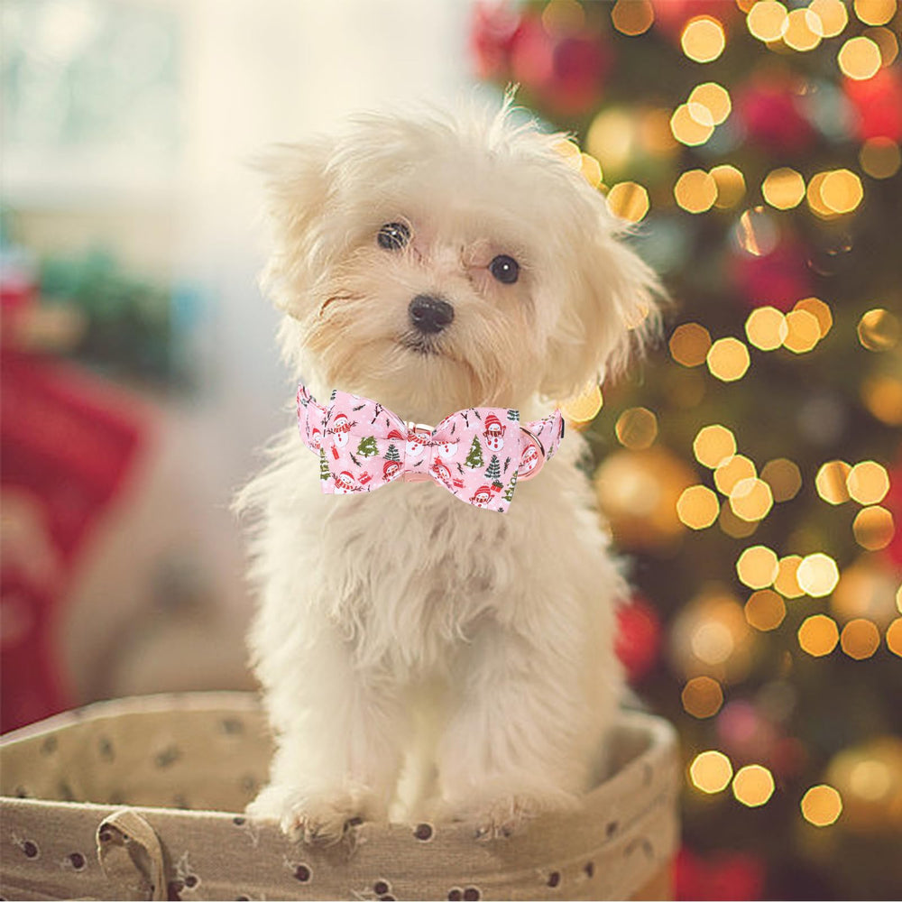 Bobo Rainbow removable bowtie collar with two elastics for easy washing