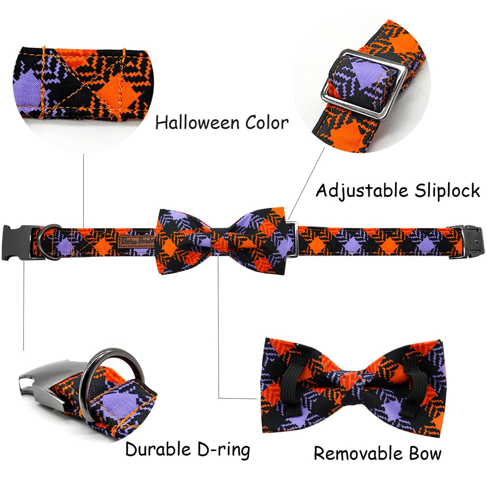 Bobo Rainbow removable bowtie on collar shows easy styling options.