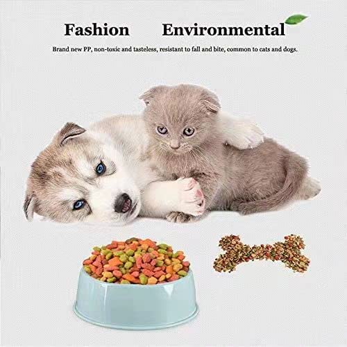 BOCHO color-variety set shown in a small-pet care scene