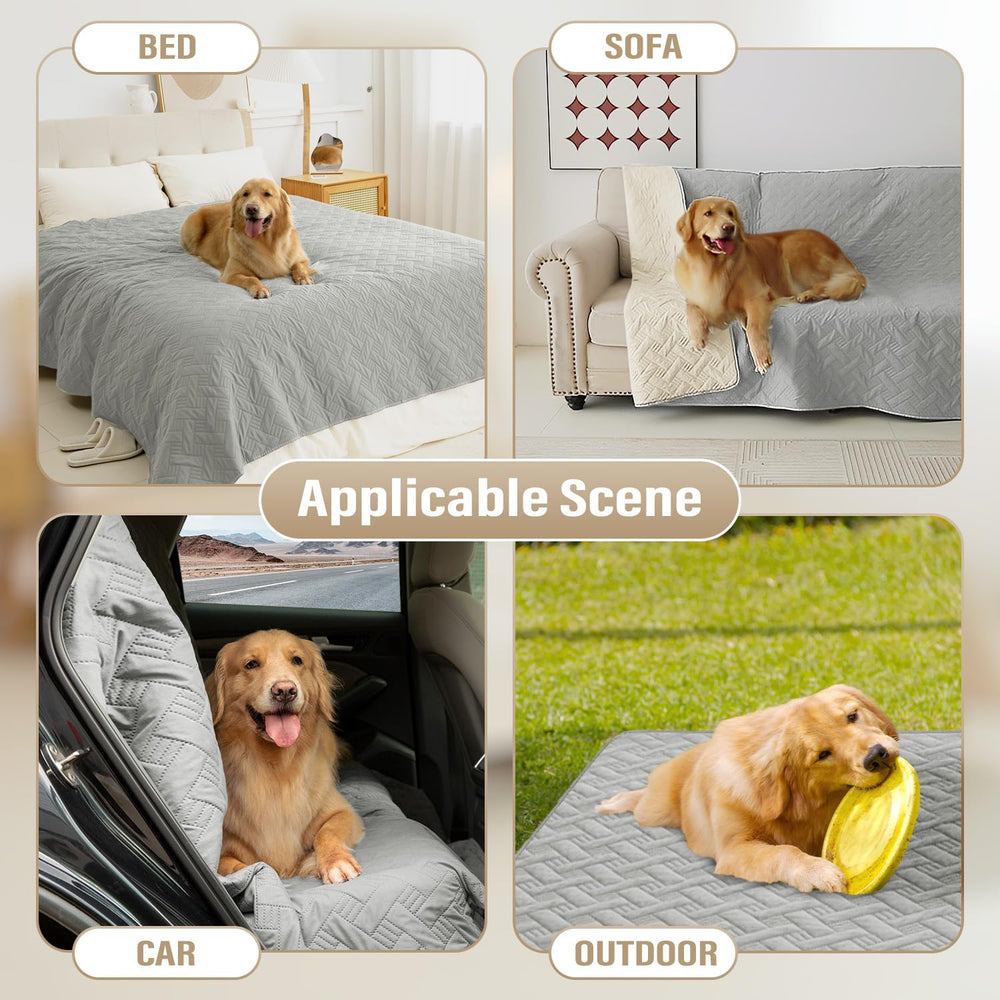 BOCTOPUG couch protection use image depicts furniture protection during pet lounging