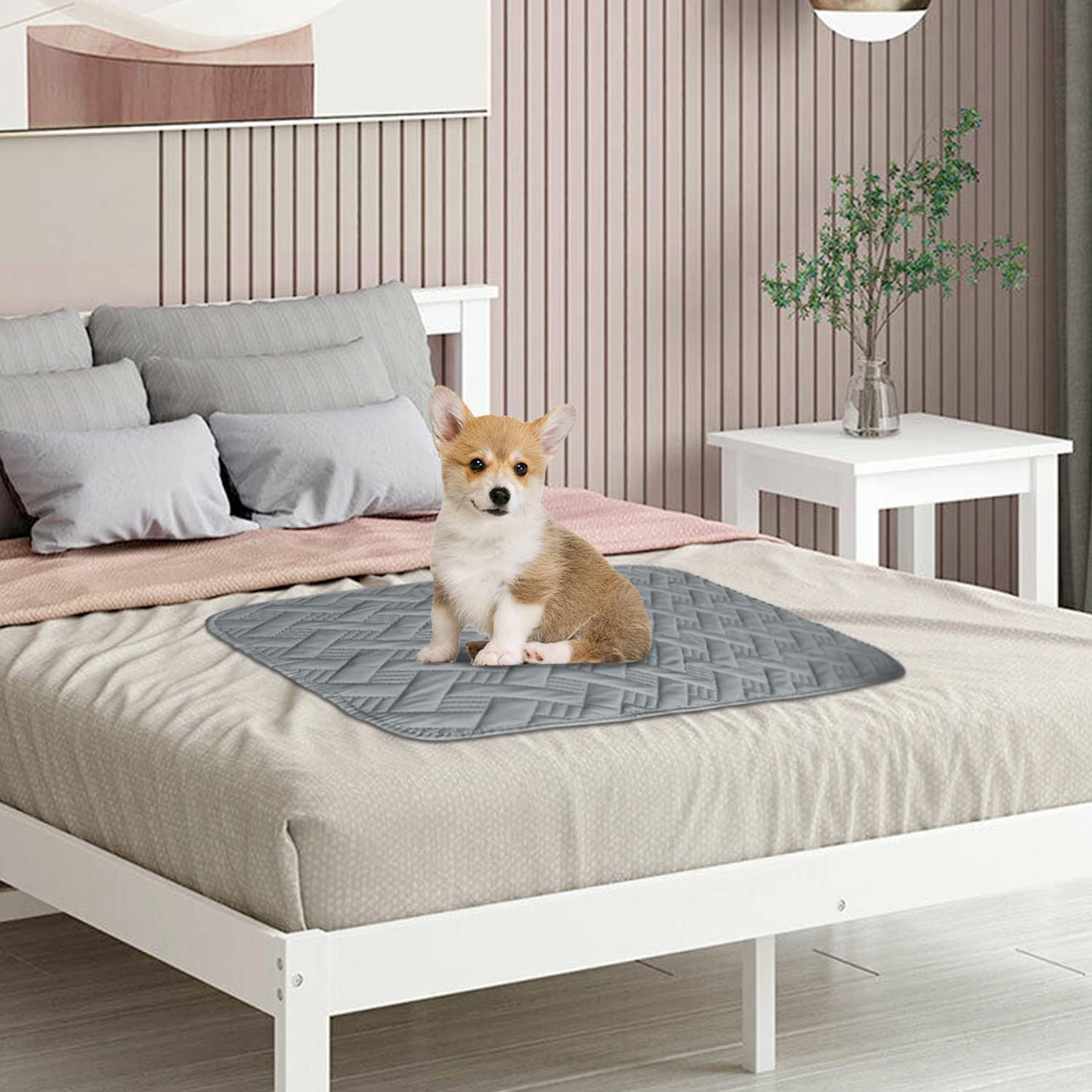 BOCTOPUG cover is machine washable for easy pet cleanup.