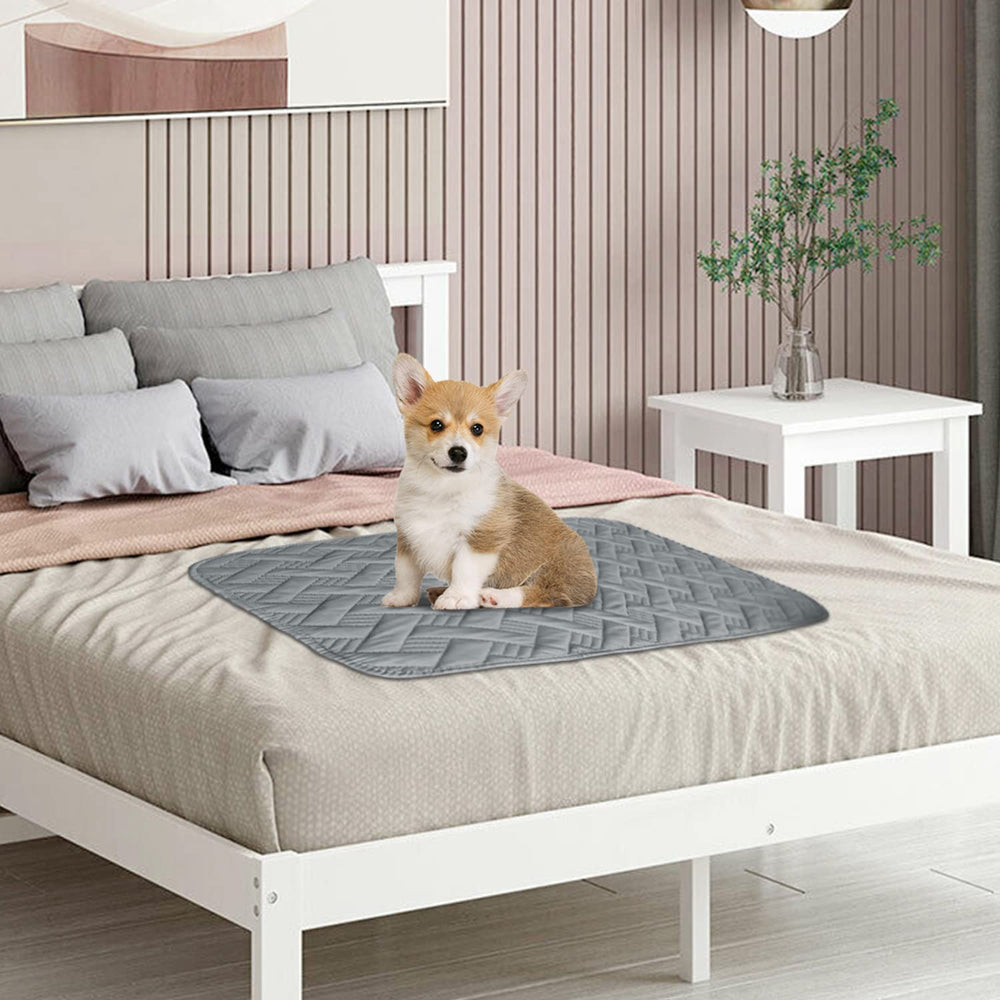 BOCTOPUG cover is machine washable for easy pet cleanup.