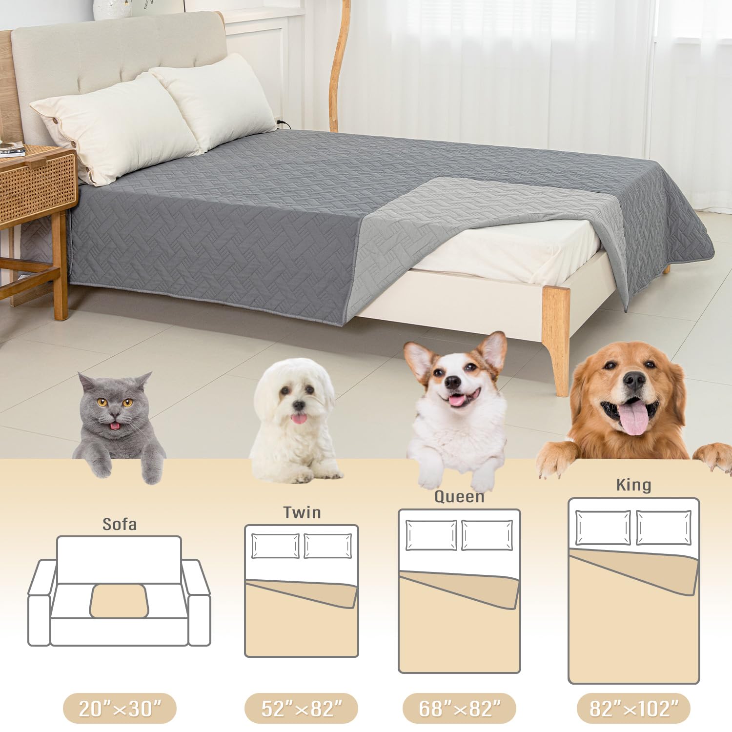 BOCTOPUG packaging image highlights ready-to-use protection.