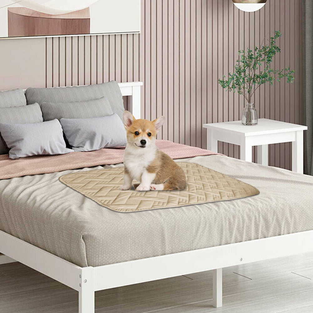BOCTOPUG dog bed cover sizes collection ensures a snug fit for your space