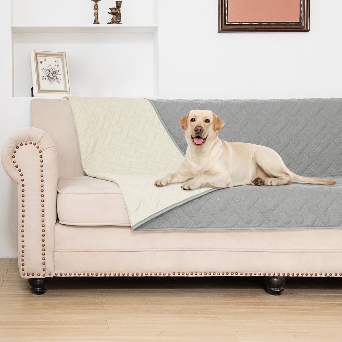 BOCTOPUG dog bed cover with waterproof layer protects against spills.