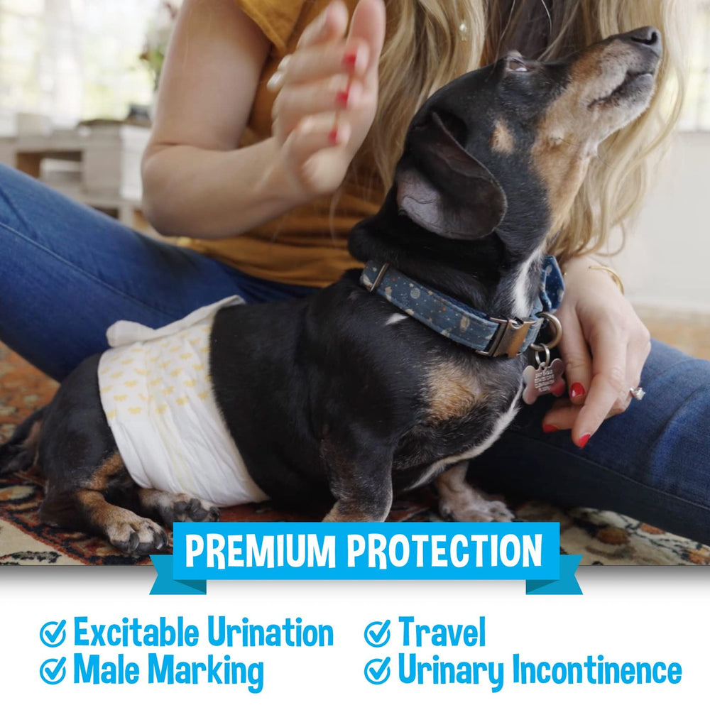 Bodhi Dog disposable male diapers small leak-barrier with double edges prevents leaks